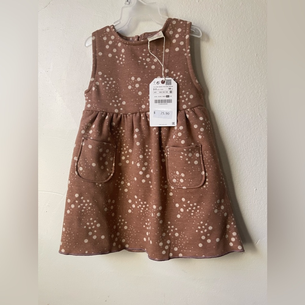 Zara dress